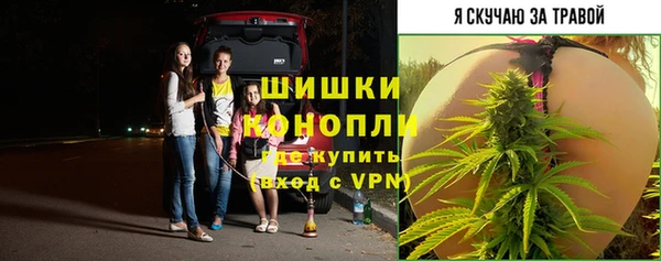 стафф Горняк