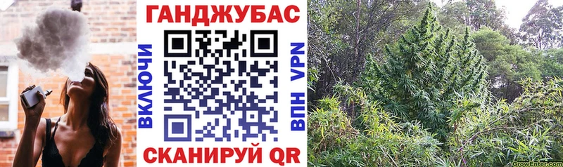 Купить где  Сосенский  МАРИХУАНА THC 21% 